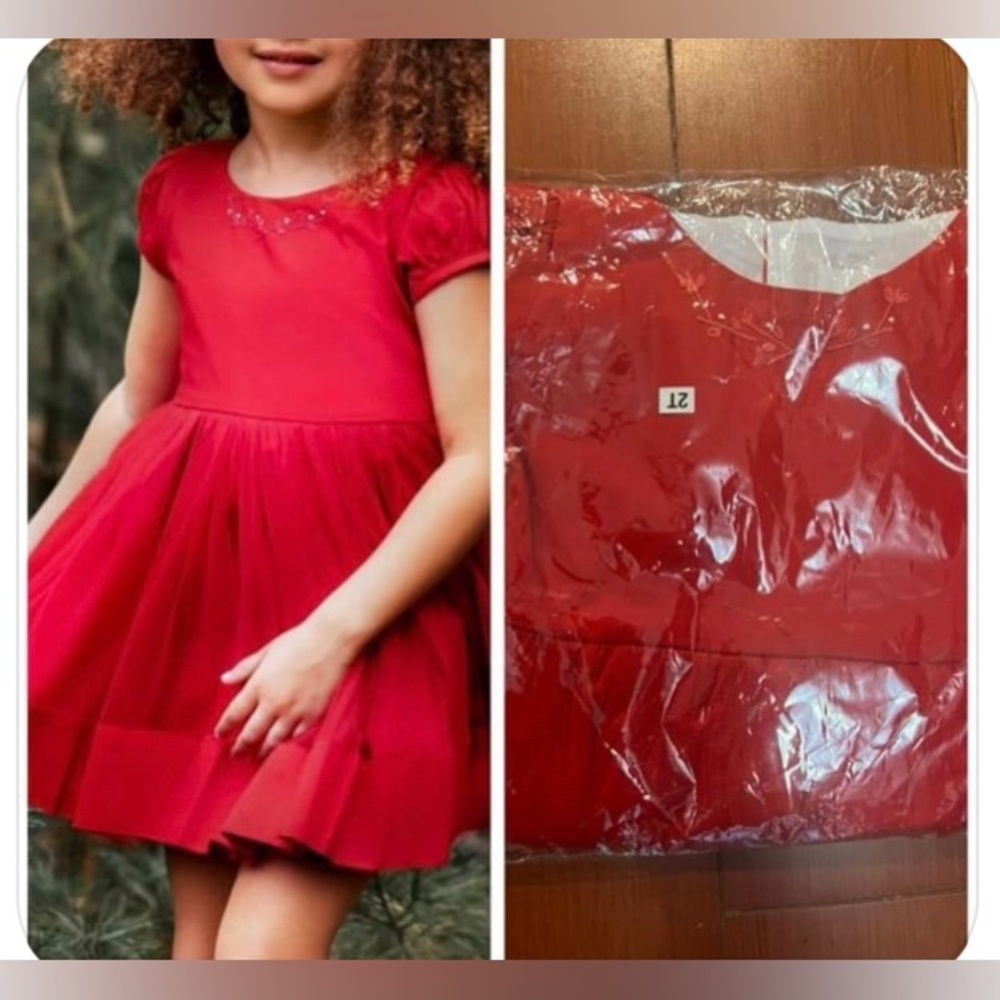 2T NIB WDW dress